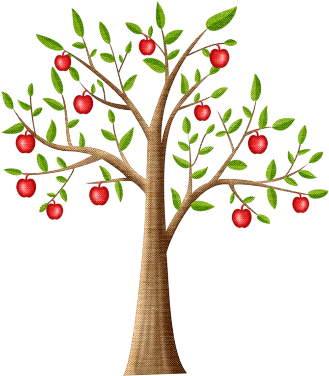 Pps apple tree clipart image with no