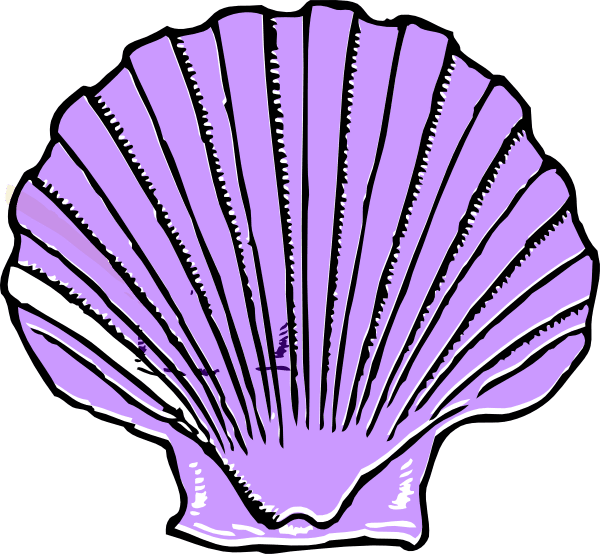 Purple shell clipart vector line