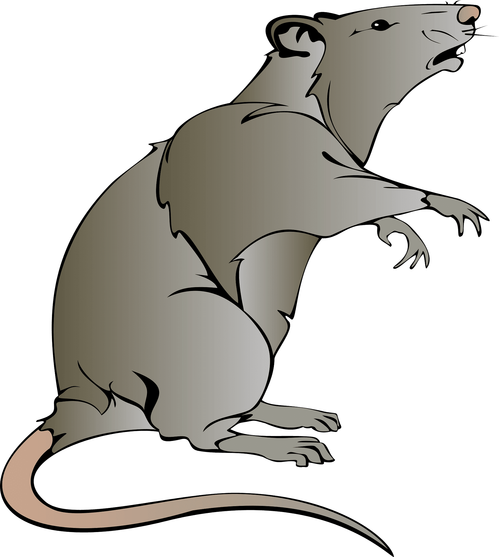 Rat clipart clip art