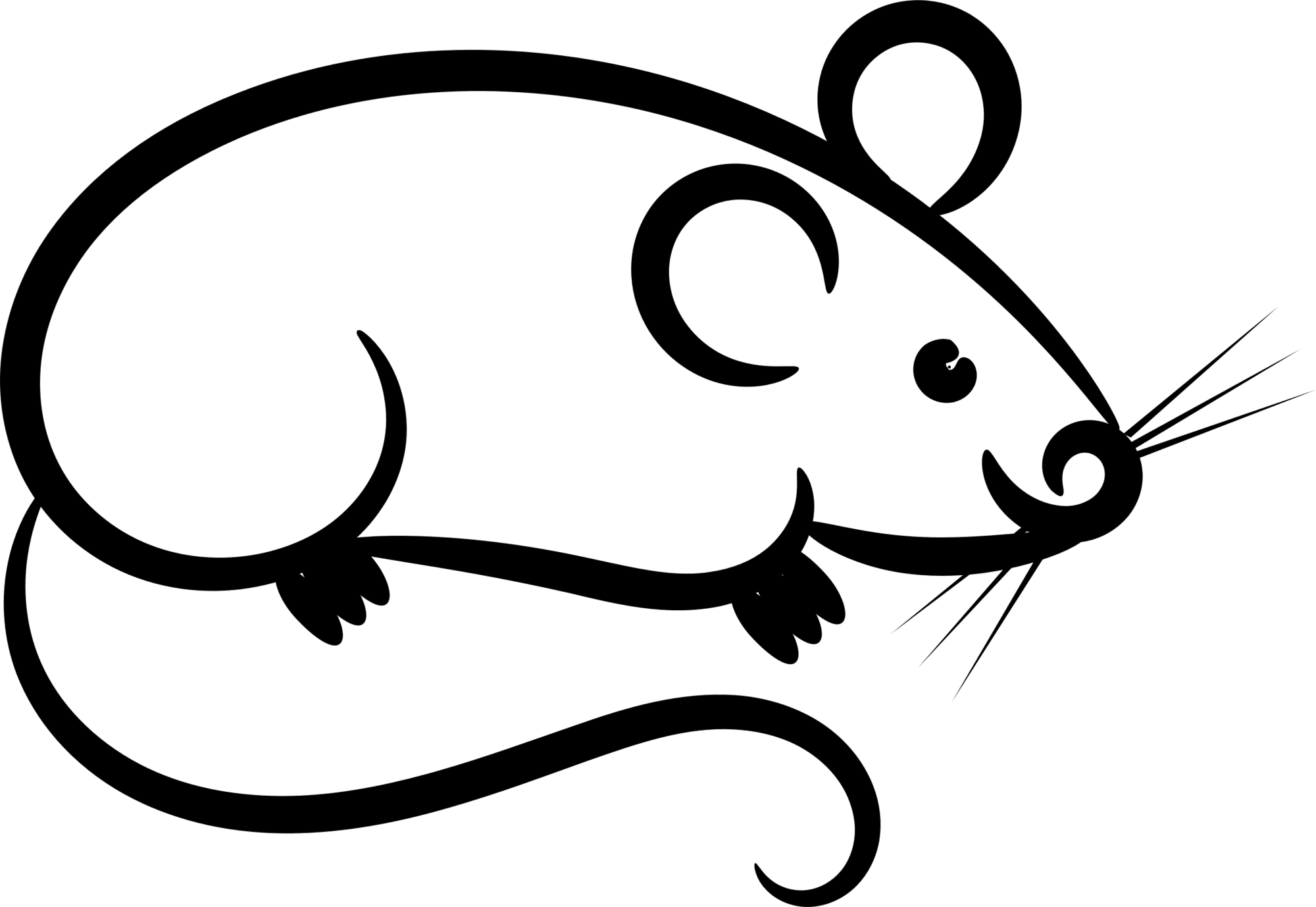 Rat clipart mouse black and white drawing free
