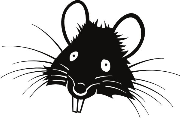 Rat clipart vector line 3