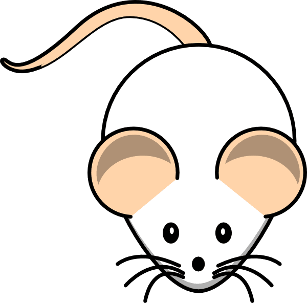 Rat clipart vector line