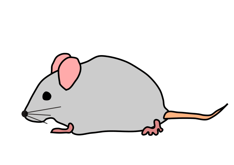 Rat cute mouse clipart panda images