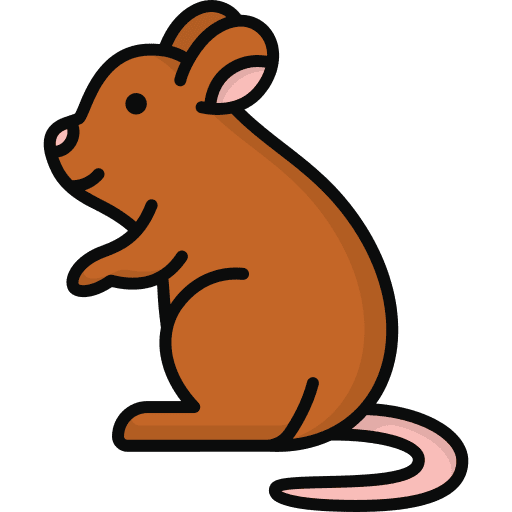 Rat mouse generic outline color clipart image