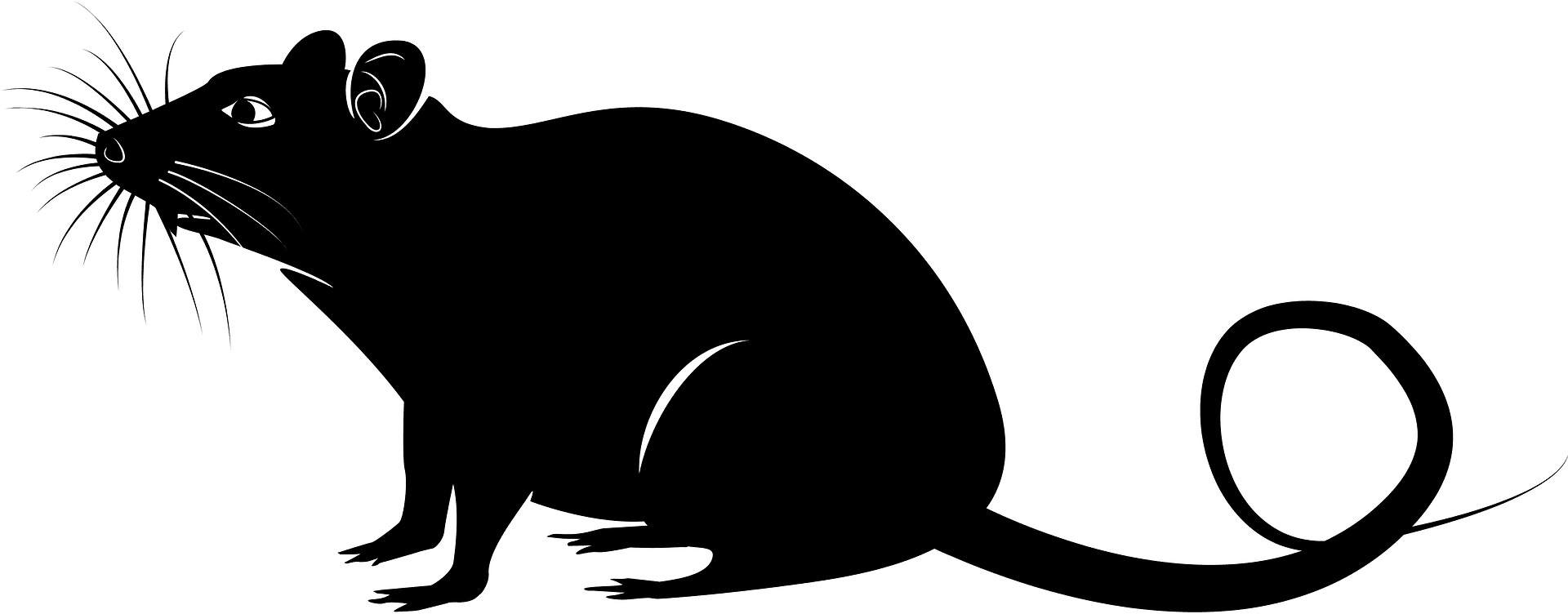 Rat mouse silhouette clipart image