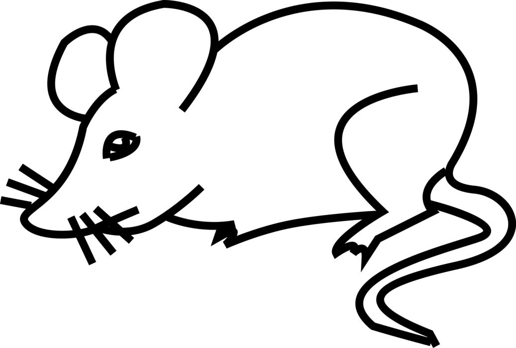 Rat rodent mouse vector image clipart