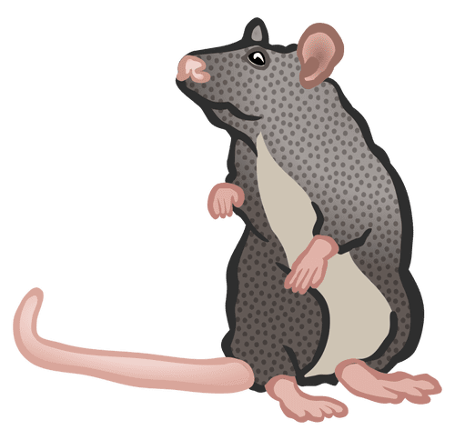 Rat vectors clipart