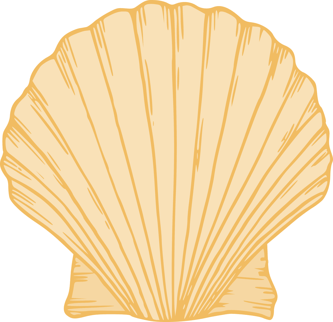 Scallop shell clipart free