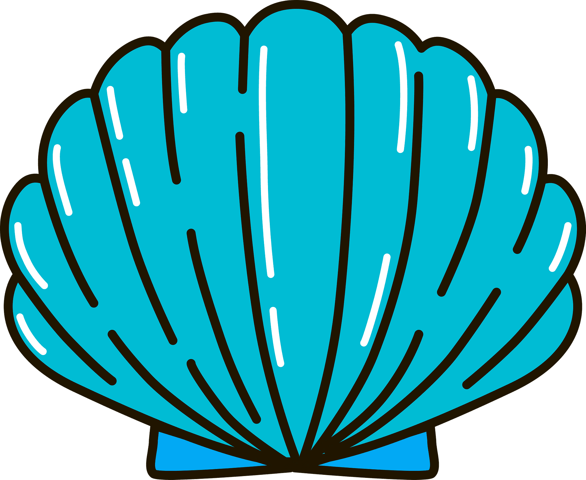 Sea shell clipart free