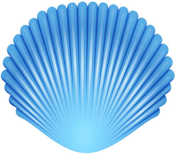 Sea shell clipart images