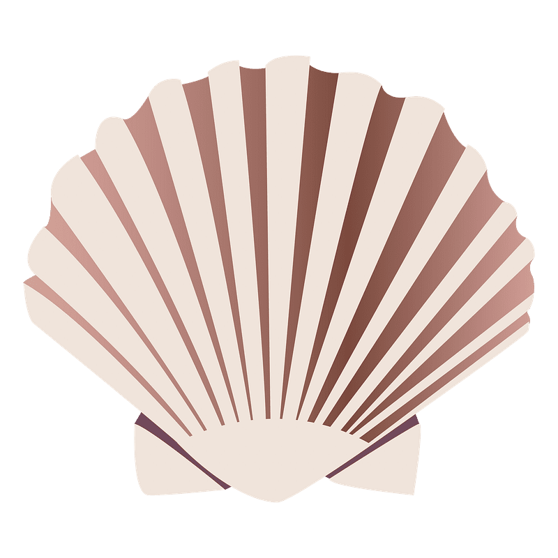 Sea shell element background premium clipart