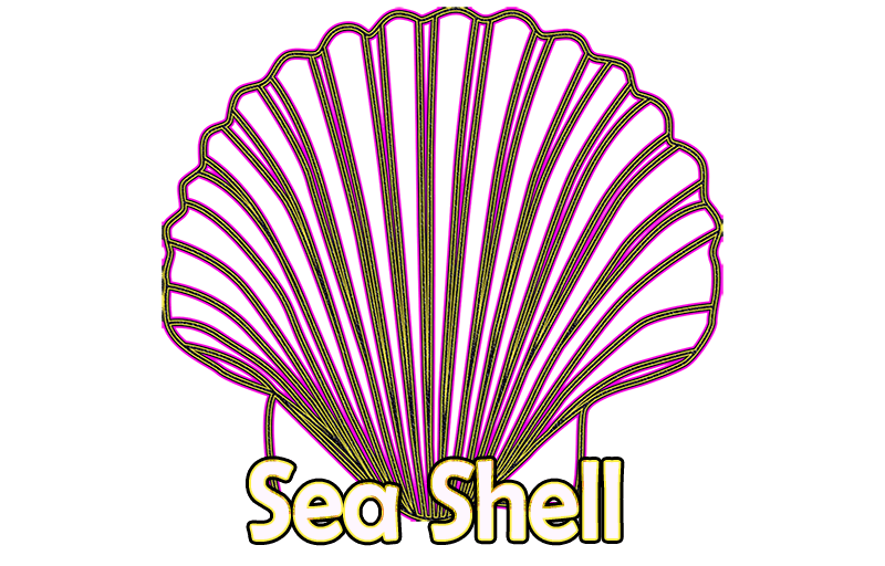 Sea shell mobile app content media application clipart vector