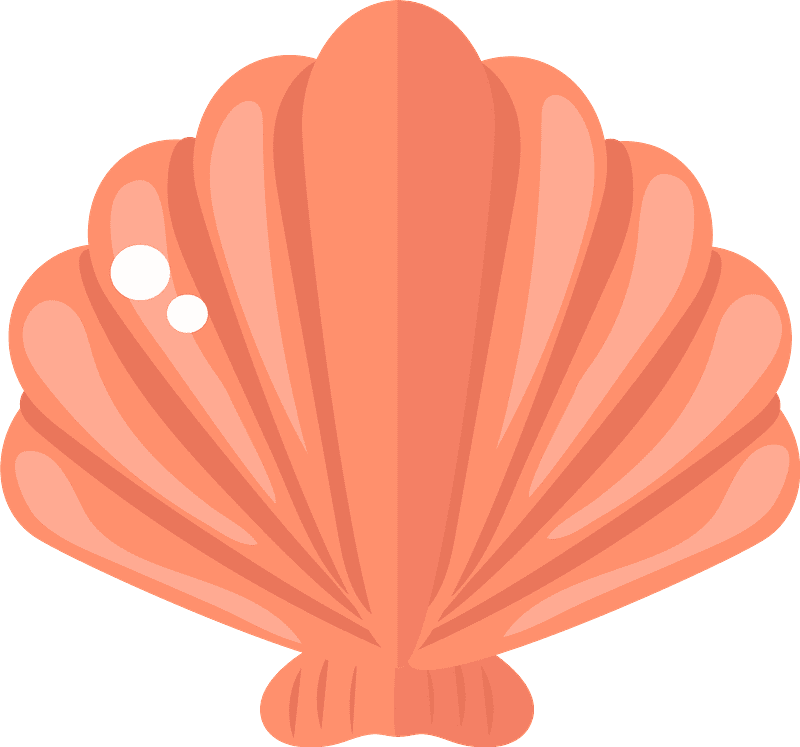 Shell clam clipart picture