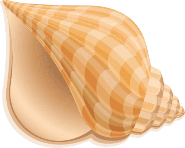 Shell clipart free