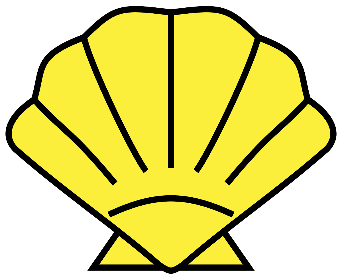 Shell clipart transparent
