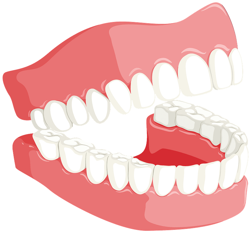 Teeth dentures clipart logo