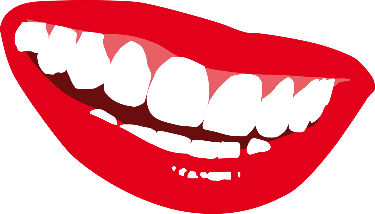 Teeth fang organ jaw clipart photo