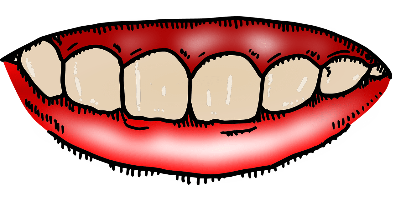 Teeth mouth smile smiling vector graphic clipart