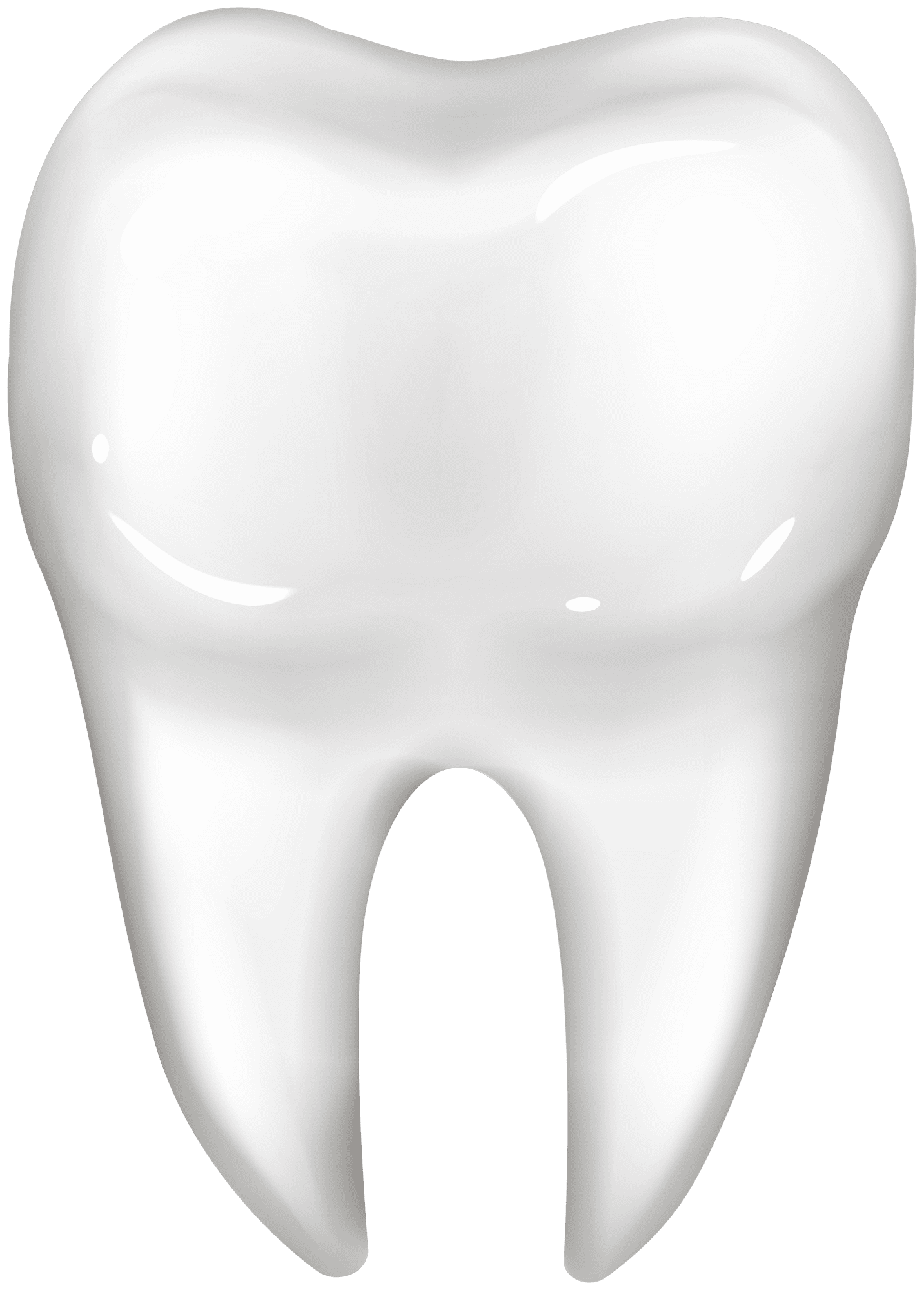 Teeth white tooth clipart best transparent