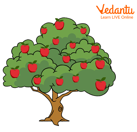 The enchantress and apple tree story interesting clipart photo