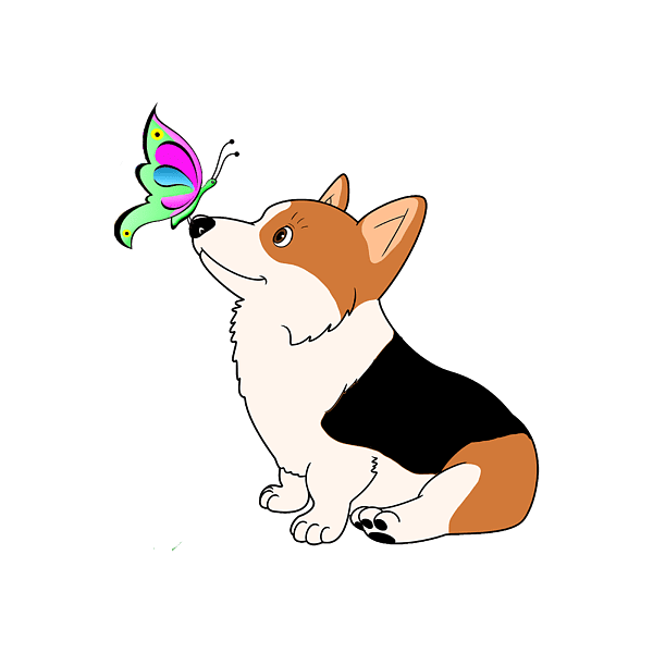 Tricolor corgi with butterfly greeting card clipart photo