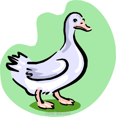 White goose vector clipart